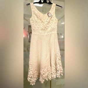 Yoani Baraschi dress